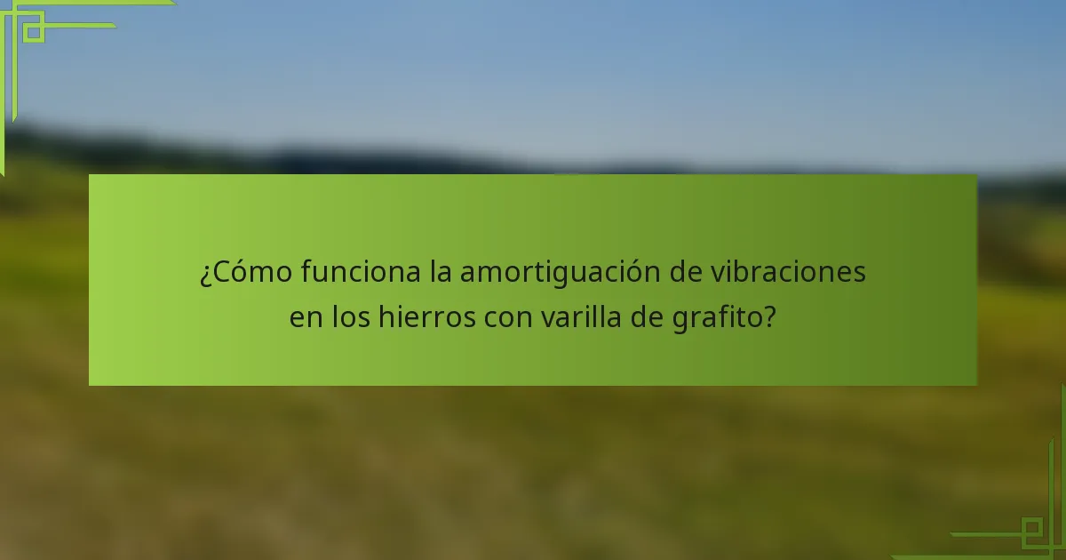 ¿Cómo funciona la amortiguación de vibraciones en los hierros con varilla de grafito?