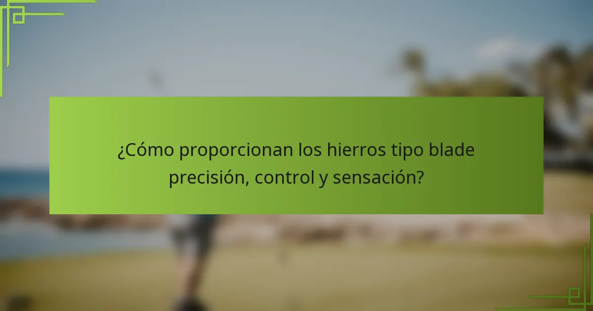 ¿Cómo proporcionan los hierros tipo blade precisión, control y sensación?