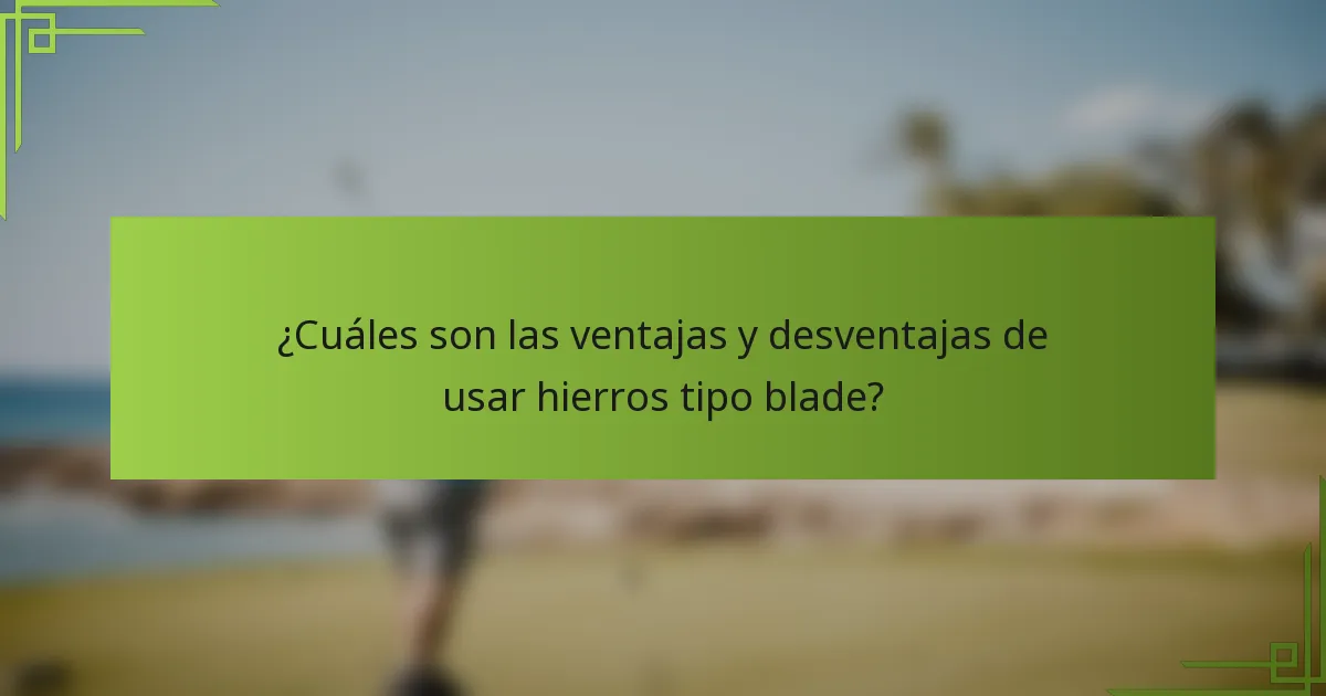 ¿Cuáles son las ventajas y desventajas de usar hierros tipo blade?