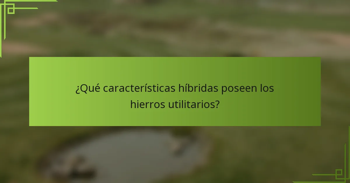 ¿Qué características híbridas poseen los hierros utilitarios?