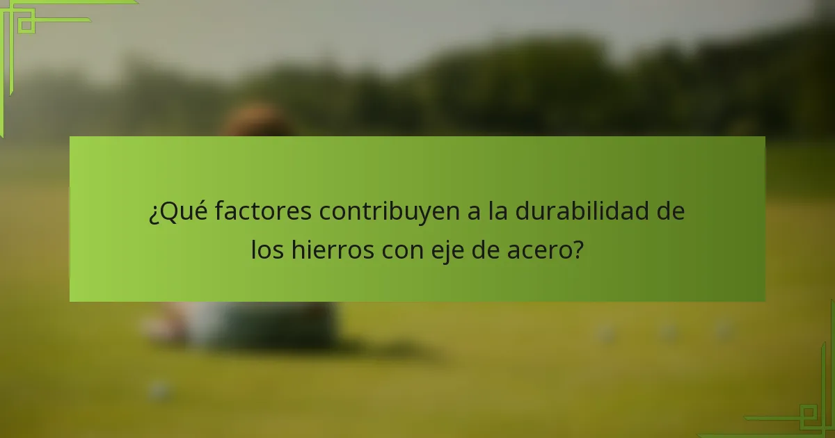 ¿Qué factores contribuyen a la durabilidad de los hierros con eje de acero?