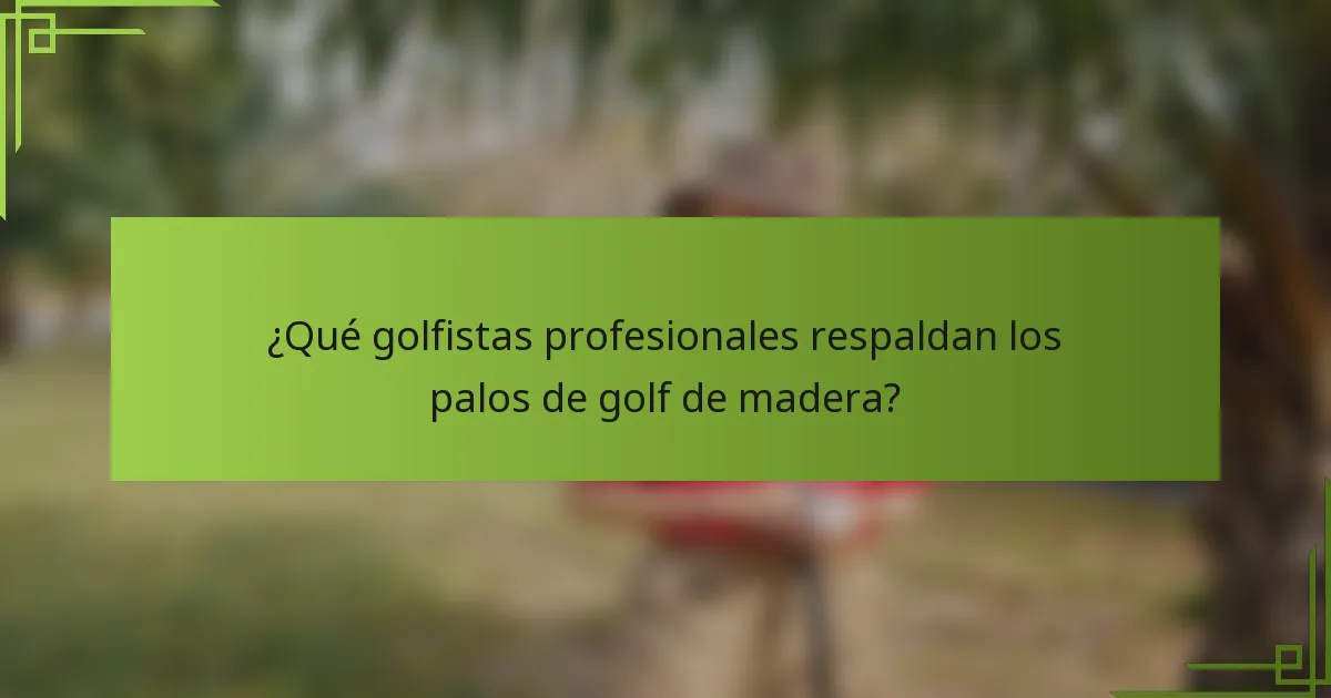 ¿Qué golfistas profesionales respaldan los palos de golf de madera?