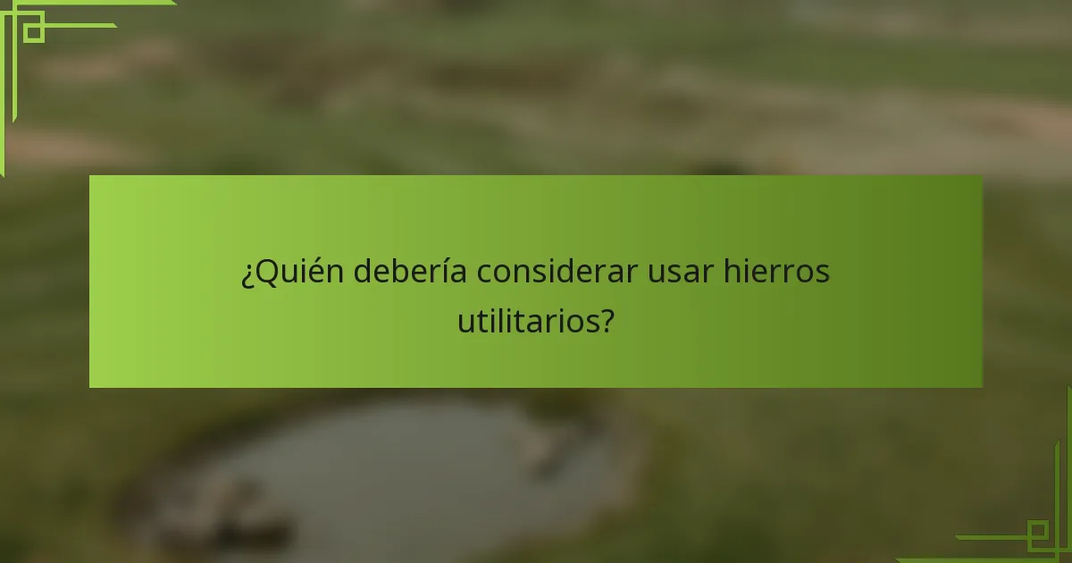 ¿Quién debería considerar usar hierros utilitarios?
